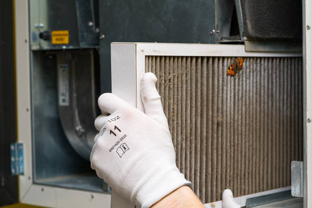 Best Affordable Duct Cleaning Services  in Corona, CA